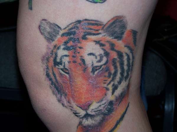 Tiger tattoo