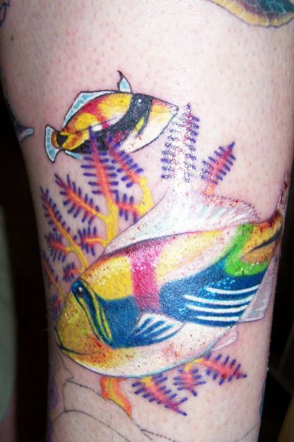 Triggerfish tattoo