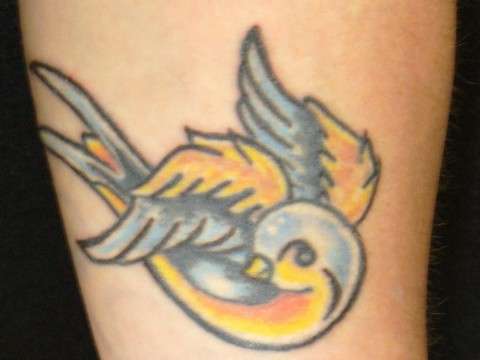 sparrow by sonya tattoo