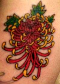 Chrysanthemum Tattoo Redo tattoo