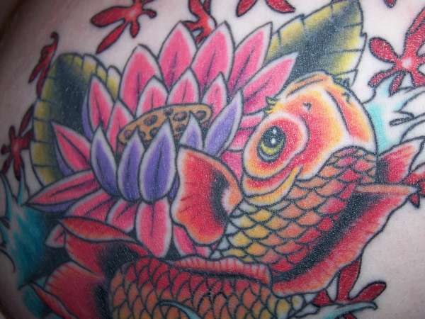 Koi Close-up tattoo