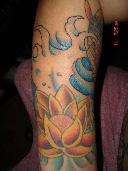 lotus and koi tattoo