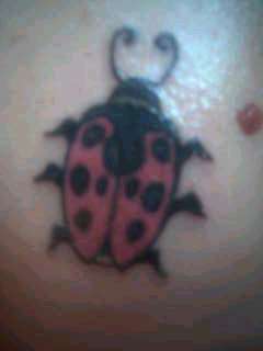 ladybug tattoo