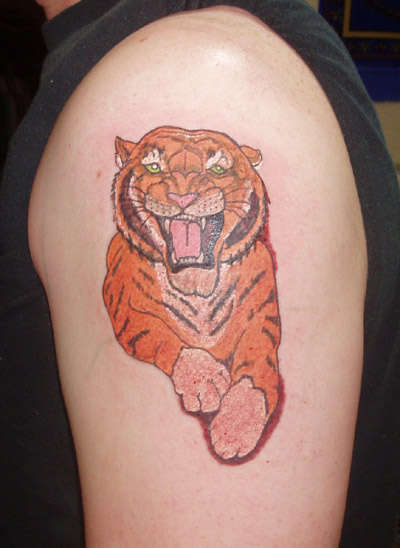 Tiger on my arm tattoo