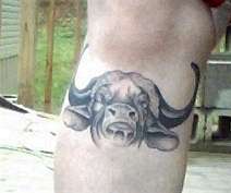 cape buffalo tattoo