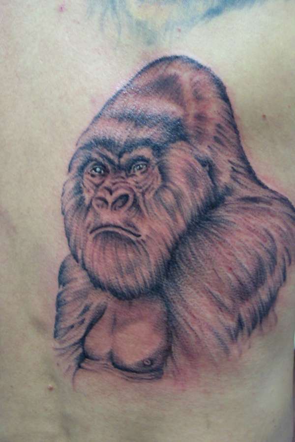 Gorilla tattoo