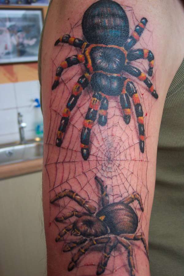 cover up of old work with 2 spiders tattoo