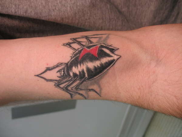 Spider tattoo