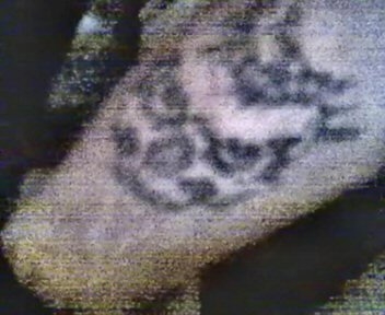 Skull emerging from larger skull tattoo