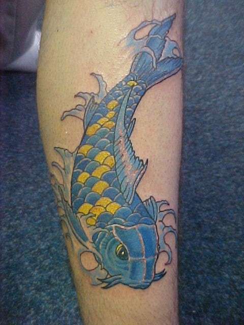 blue koi tattoo