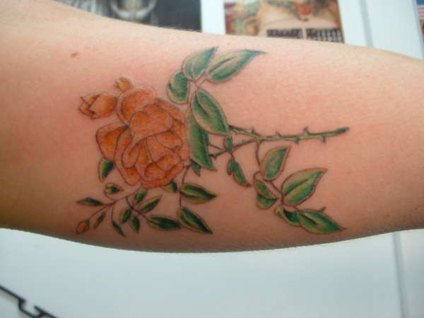 fresh tat i did tattoo