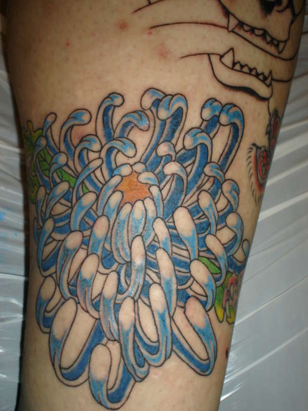 Flower by PAUL JAMISON     ----    WWW.TATTOOPAUL.COM tattoo