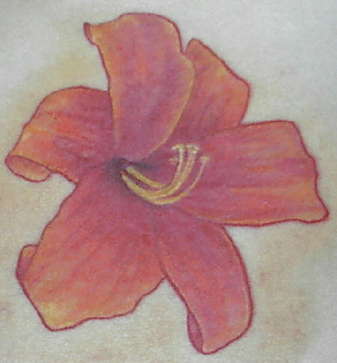 My pink day lily - flower tattoo