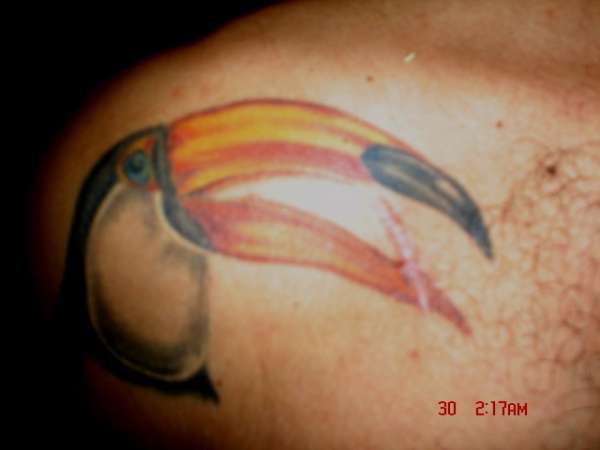 Smiling Toucan tattoo
