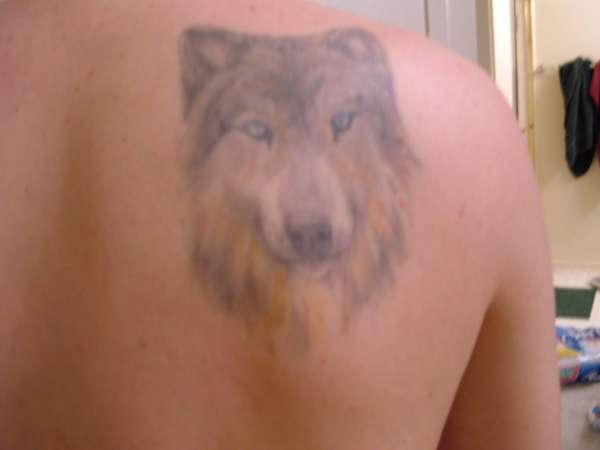 Wolf Face Tattoo tattoo