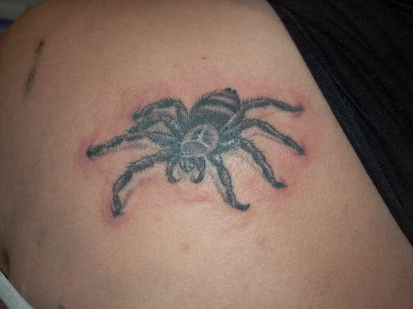 spider tattoo