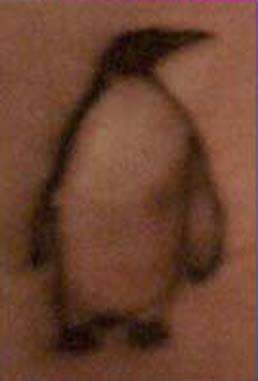 Penguin (my second tattoo) tattoo