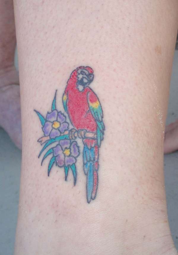 Parrot tattoo