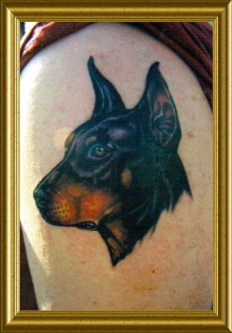 dobermen pincher tattoo