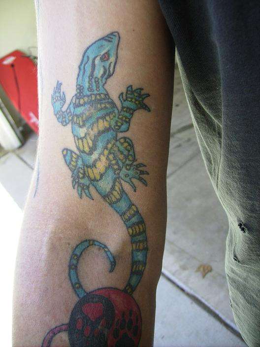 another lizard by scooby tattoo