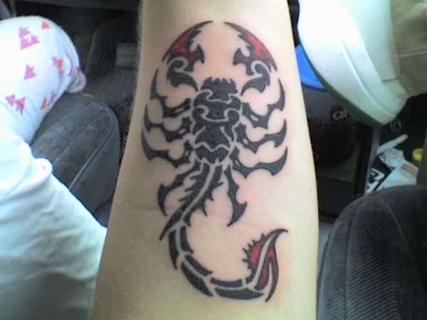 Tribal Scorpion tattoo