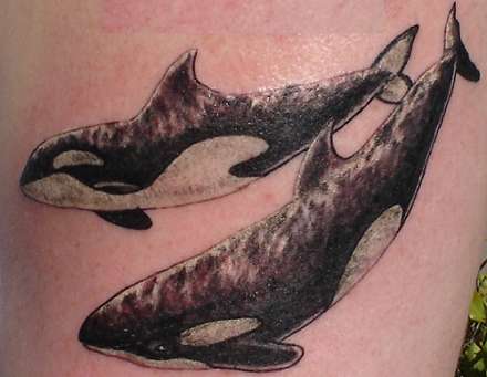 Whales tattoo