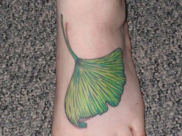 Ginkgo Biloba Leaf tattoo