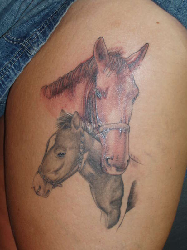 horses portraits tattoo