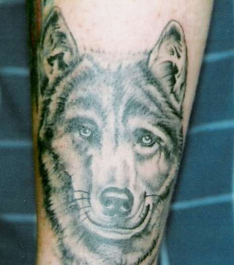 Wolf tattoo