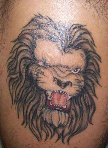 My Lion after touchup tattoo