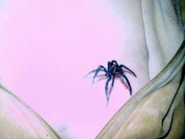 spider tattoo