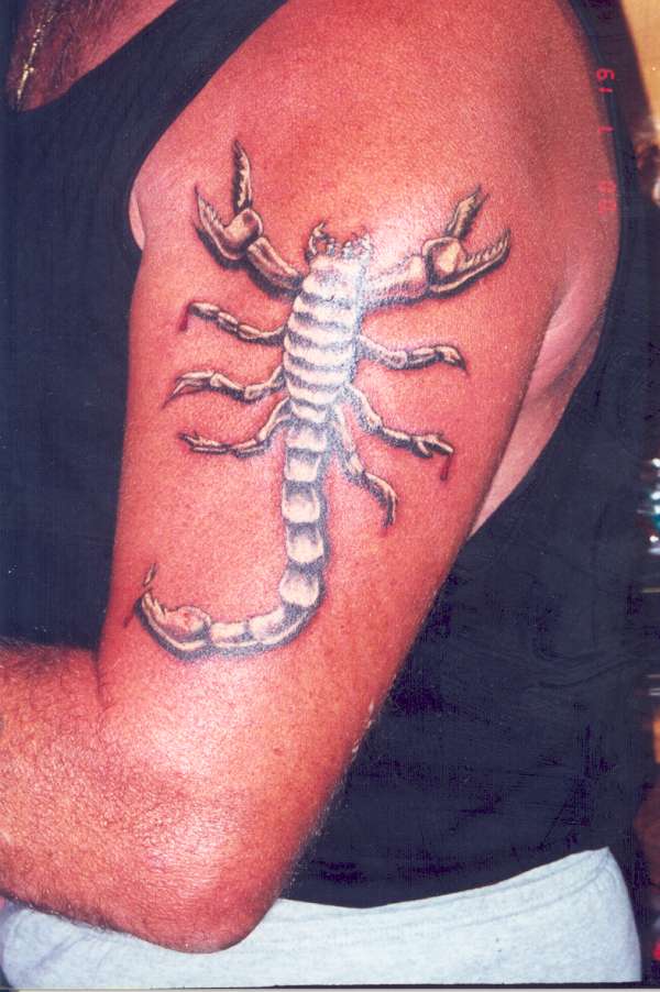 Scorpion tattoo
