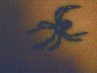 spidy tattoo