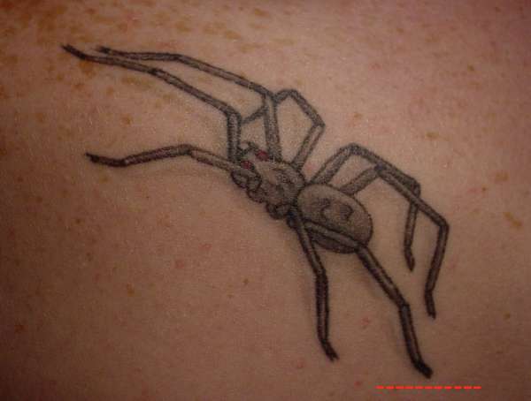 Spider tattoo