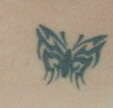 Butterfly tattoo