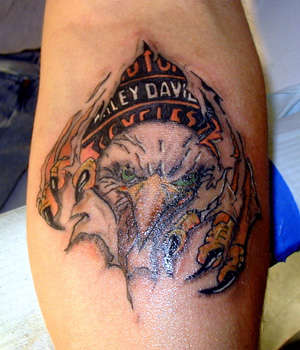 Eagle Bar & Sheild tattoo
