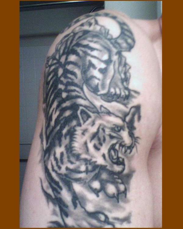 eye of the tiger tattoo