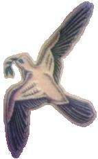 Unique Dove tattoo
