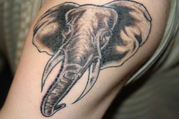 elephant tattoo