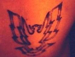 Phoenix tattoo