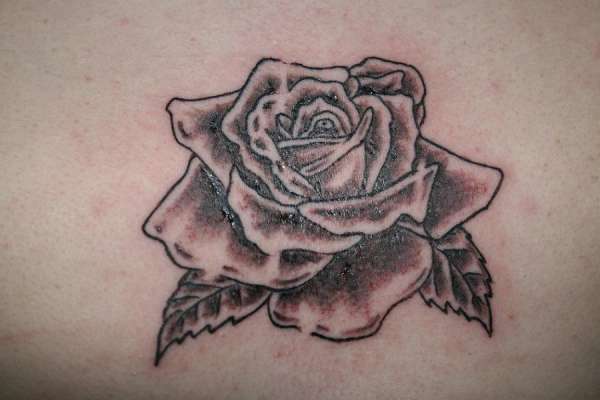 ROSE tattoo