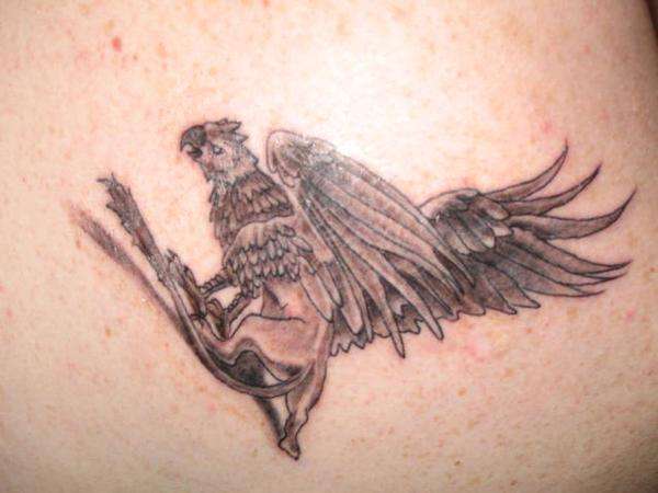 Griffon tattoo