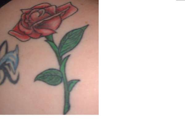 red red rose tattoo