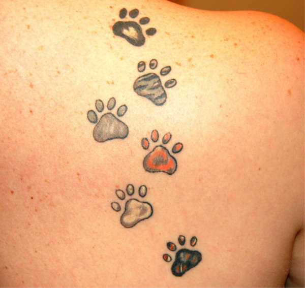Paws tattoo