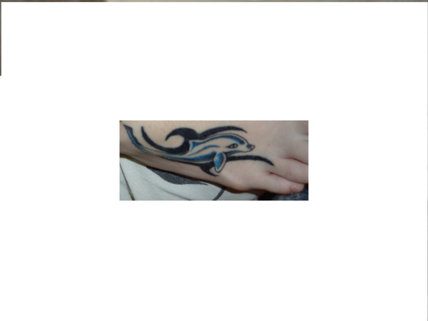 Tribal Dolphin Tatt tattoo