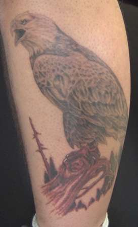 pearched eagle tattoo