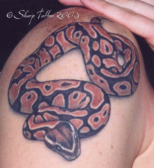 Ball Python tattoo