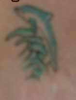 on chest tattoo