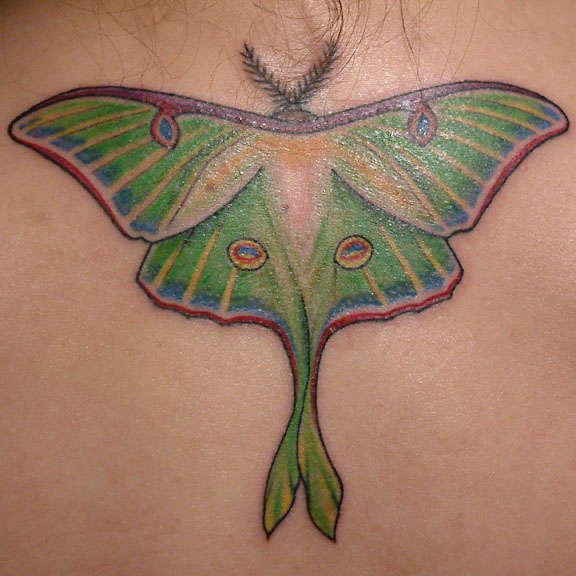 Luna moth tattoo