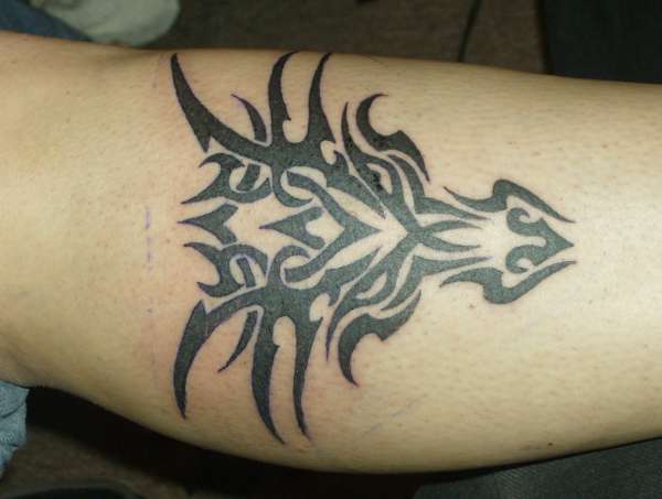 tribal tattoo